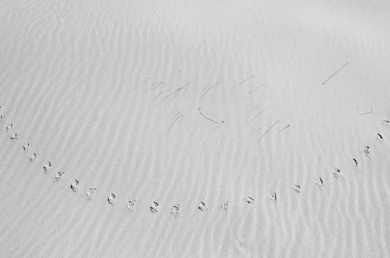 Footprints 2
